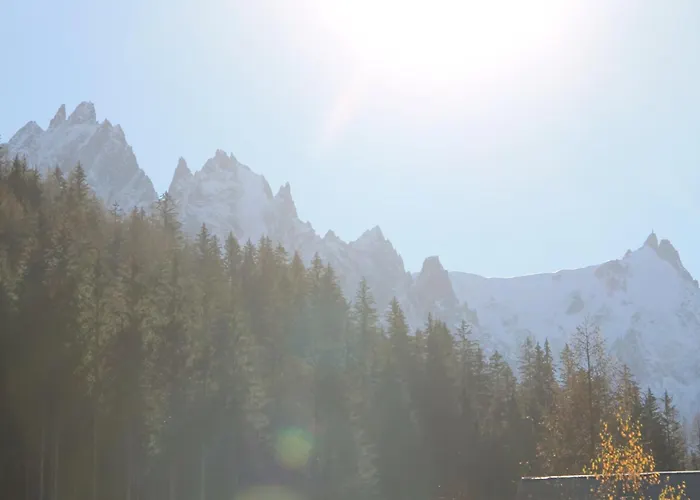 Comfortable With Terrace In *